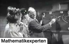 Mathematikexperten