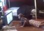Volltreffer beim Wii spielen