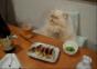 King Henry die Katze