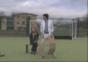 Forrest Gump in einer Minute ohne Schnitt