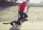 Dogboarding