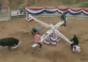 Best of Jackass & CKY