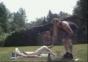 Bikini Girl will keinen Kuchen backen