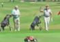 Golfer ärgern