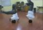 Die Breakdance Zwillinge