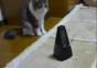 Katze vs. Metronom