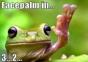 Hornoxe.com – Picdump #273