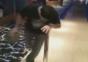 Schwindelig bowlen