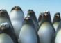 Pinguine vs. Killerwal
