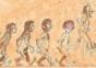 Evolution
