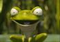 Frosch rockt