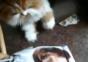 Diese Katze ist anscheinend kein Justin Bieber Fan