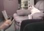 Wie Hund und Katz