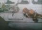 Bagger abschleppen