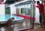 Hundehotel