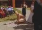 Gollum bringt die Ringe auf einer Hochzeit