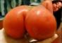 Hornoxe.com – Picdump #226