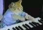 Play Him Off in This Club Usher Cat