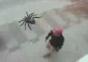 Spider Prank