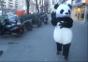 Panda nutzt die Macht