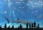 Kuroshio Sea Aquarium