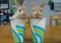 2 Rabbits, 2 Cups