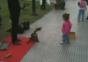 Hunde Puppenspieler