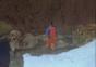 Basejumping Profis