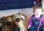 Hunde bringen Babys zum lachen – Compilation