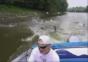 Springende Fische