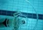 Der Herr der Wasser-Ringe