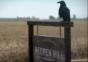 Lovefield - Kurzfilm von Mathieu Ratthe