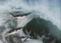 David Attenborough – Wonderful World