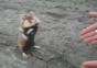 Der Killer Hamster