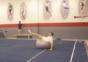 Gymnastikball Ping Pong