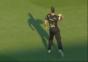 Beim Cricket eine Taube getroffen