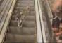 Enten auf einer Rolltreppe