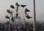 Riesenrad von Menschen angetrieben
