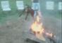 Hund springt ums Lagerfeuer