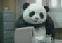 Sag niemals nein zu Panda - Part 3