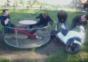 Idioten auf Kinderspielplatz