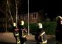 Feuerwehrhund