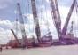 Craneception