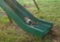 Katzen vs. Rutsche