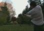Baseball Basketball