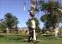 Jumpy Extreme – Hund mit vielen Talenten