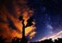 Zeitraffer – Joshua Tree Journey