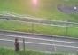 Katze schaut sich relaxed den Sonnenuntergang an