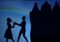 Geniales Schatten-Schauspiel Theater