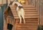 Real life Snoopy